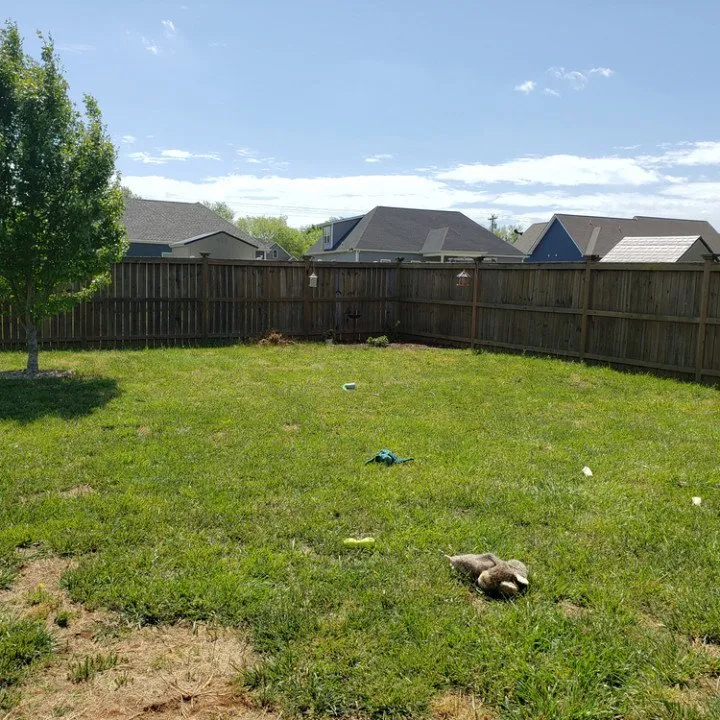 Trusted garden landscaping experts serving Jacksonville, FL - Prolific Outdoor Services