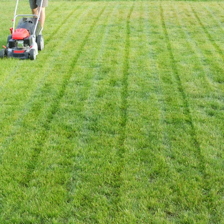 Expert garden landscaping experts serving Jacksonville, FL - Prolific Outdoor Services