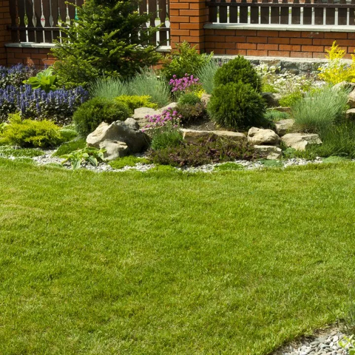 Local lawn care service for beautiful yards in Jacksonville, FL by Prolific Outdoor Services