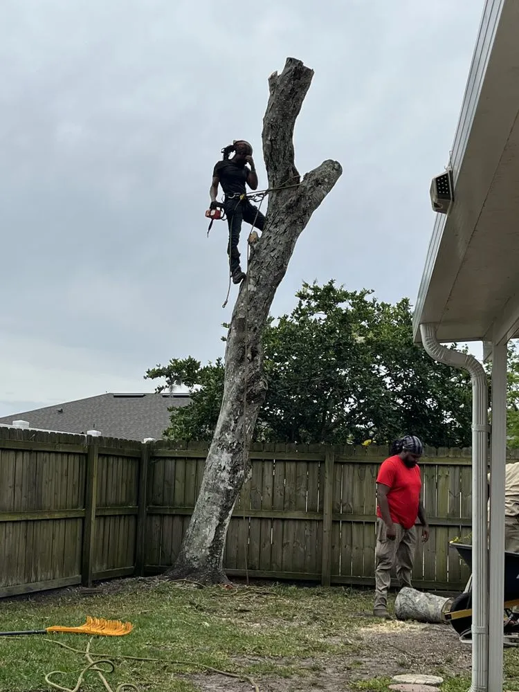 Reliable landscape installation experts serving Jacksonville, FL - Prolific Outdoor Services