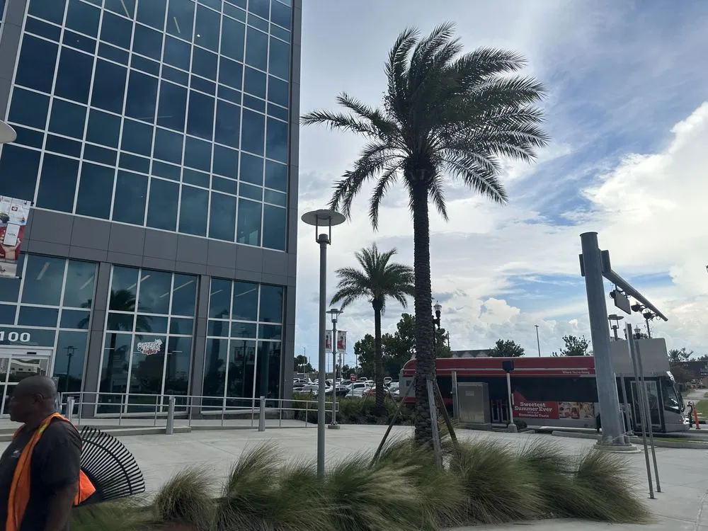 Reliable garden landscaping experts serving Jacksonville, FL - Prolific Outdoor Services