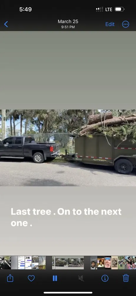 Top-rated lawn care service for beautiful yards across Jacksonville, FL - Prolific Outdoor Services