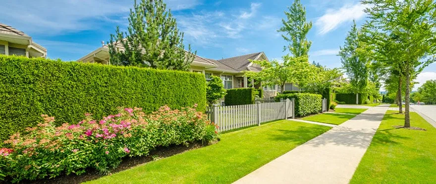 Local lawn mowing service near you across Convent Station, NJ - Proline Landscaping & Pavers