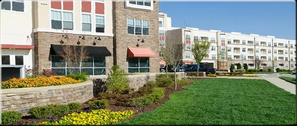 Proline Landscaping & Pavers