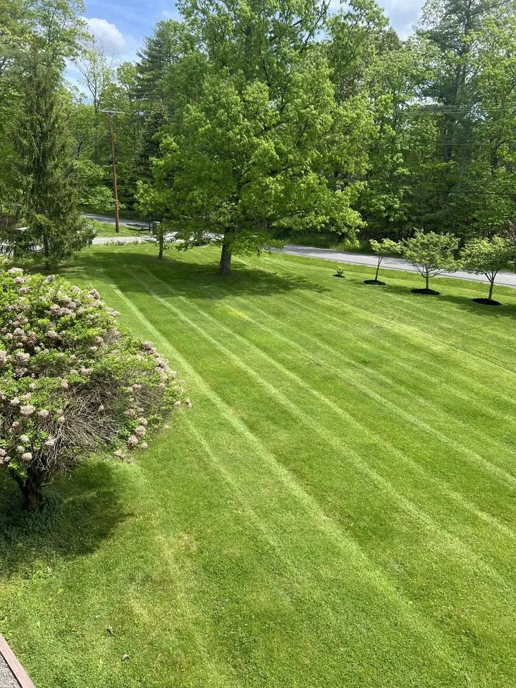 Expert yard maintenance for outdoor upgrades across Flowery Branch, GA - Proline Landscaping