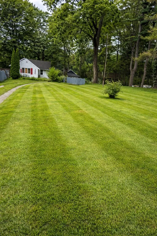 Top-rated outdoor landscaping with custom design in Flowery Branch, GA by Proline Landscaping