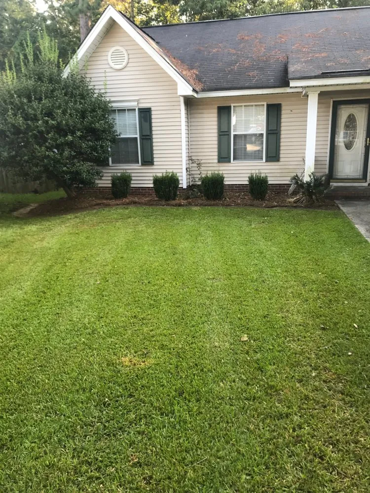 Reliable landscaping services with custom design across Moncks Corner, SC - Proline Landscaping