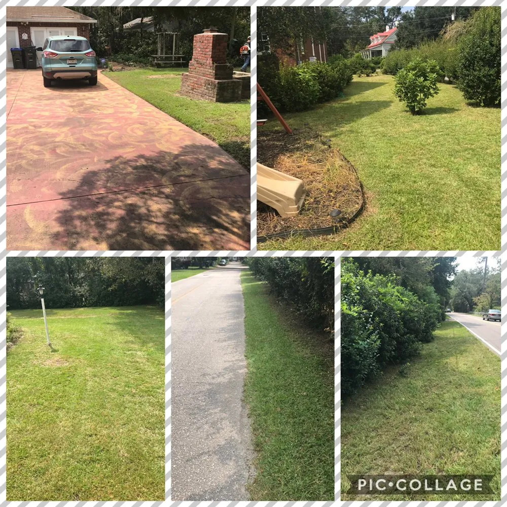 Local landscape design experts serving Moncks Corner, SC - Proline Landscaping