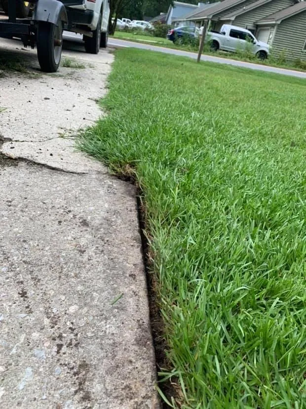 Expert garden landscaping in Moncks Corner, SC by Proline Landscaping