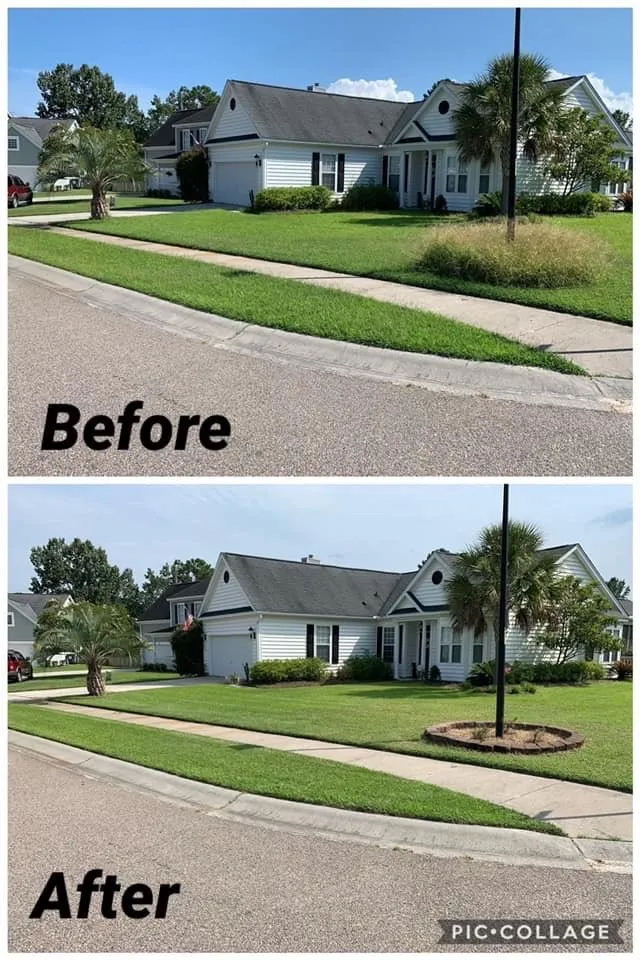 Trusted landscape design for beautiful yards across Moncks Corner, SC - Proline Landscaping