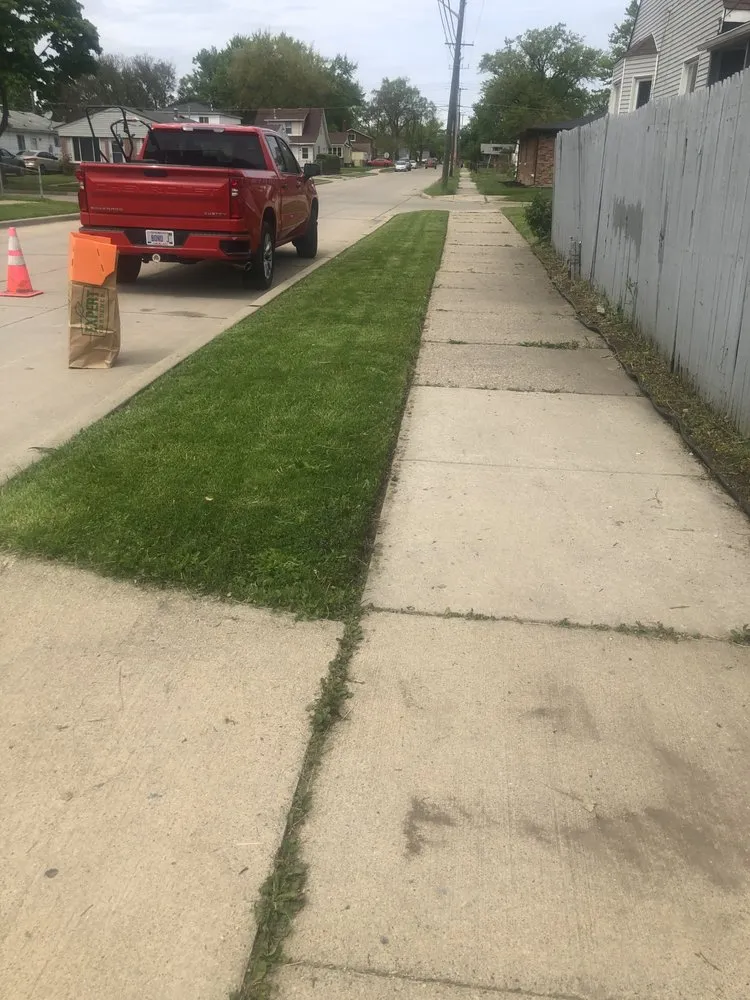 Local landscaping services near you in Detroit, MI by Proline Lawn Manicuring Service