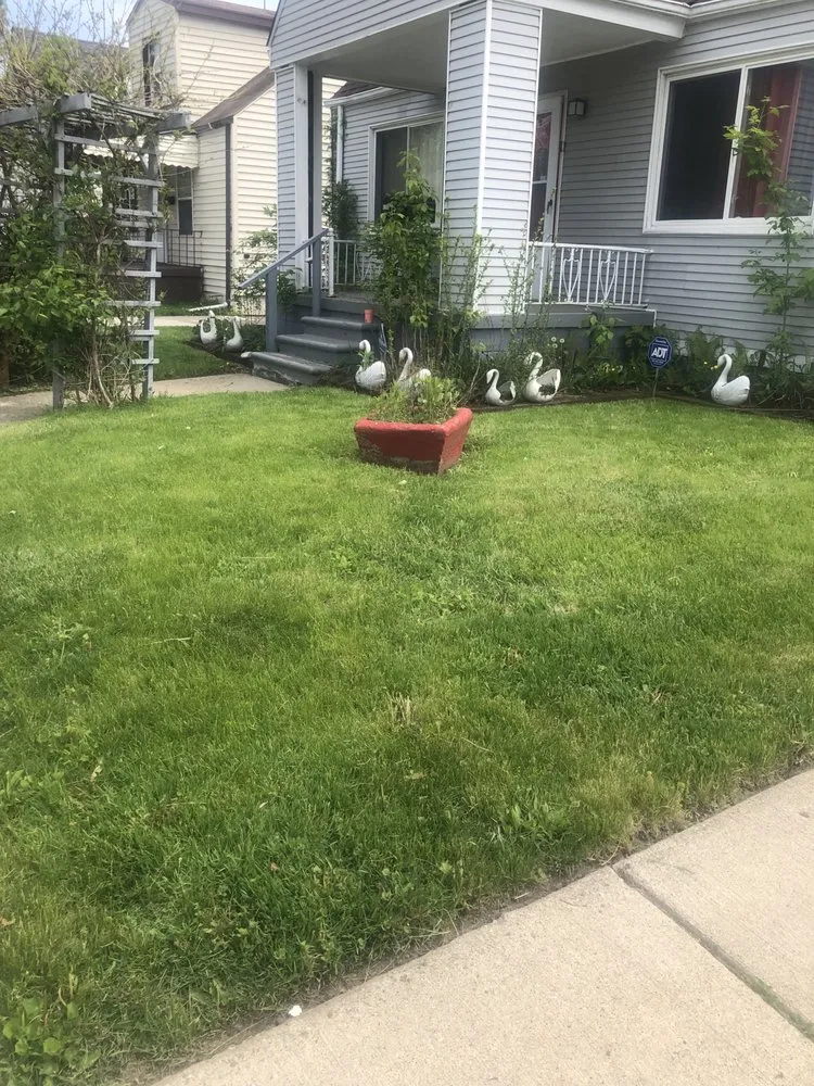 Custom landscaping services experts serving Detroit, MI - Proline Lawn Manicuring Service