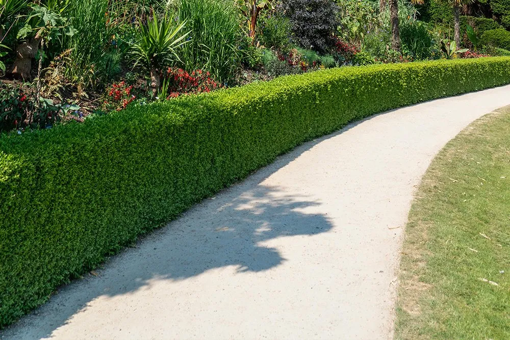 Professional lawn mowing service in Crystal River, FL by Proline parking solutions