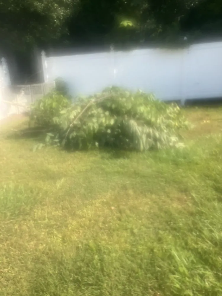 Expert outdoor landscaping in Crystal River, FL - Proline parking solutions