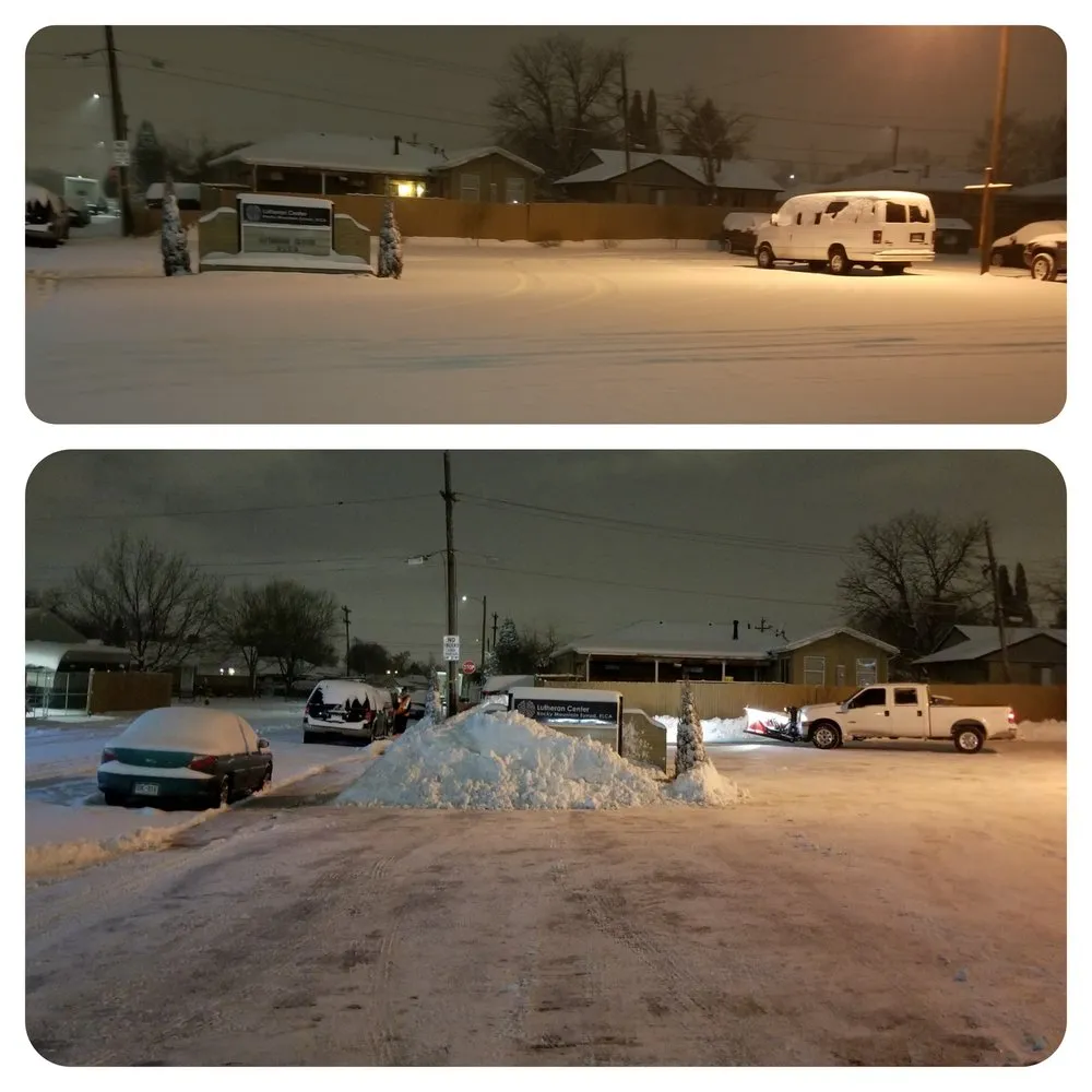 Expert yard maintenance in Westminster, CO by ProLine Services