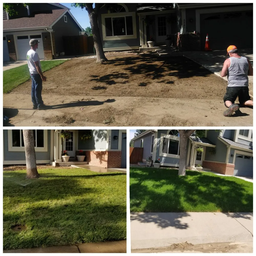 Trusted landscape installation experts serving Westminster, CO - ProLine Services