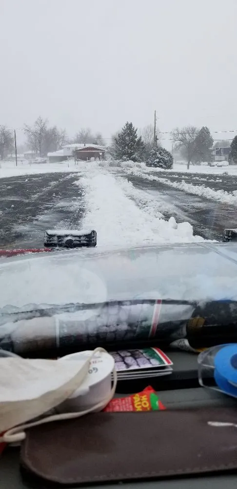 Professional yard cleanup service in Westminster, CO by ProLine Services