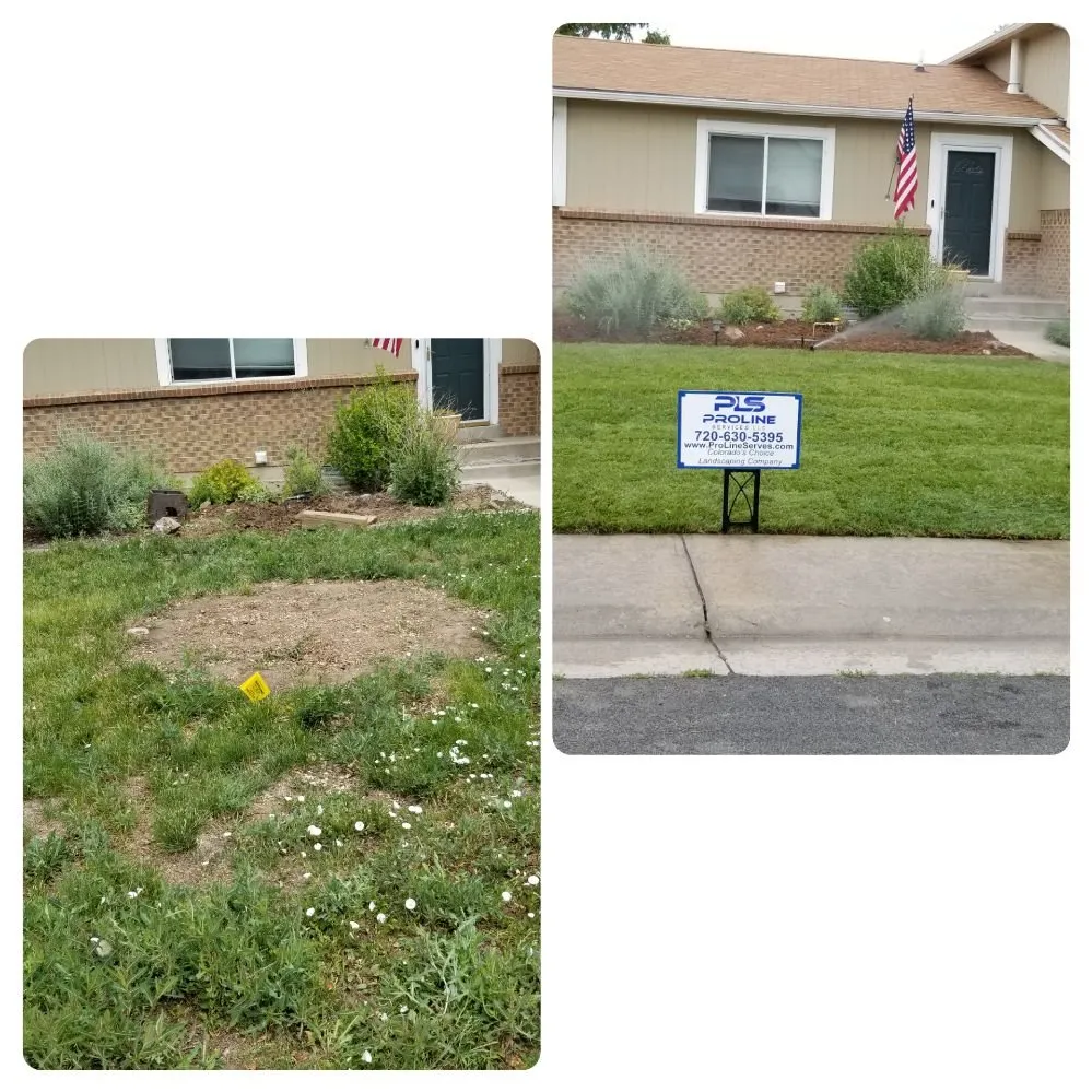 Affordable lawn mowing service for year-round maintenance across Westminster, CO - ProLine Services
