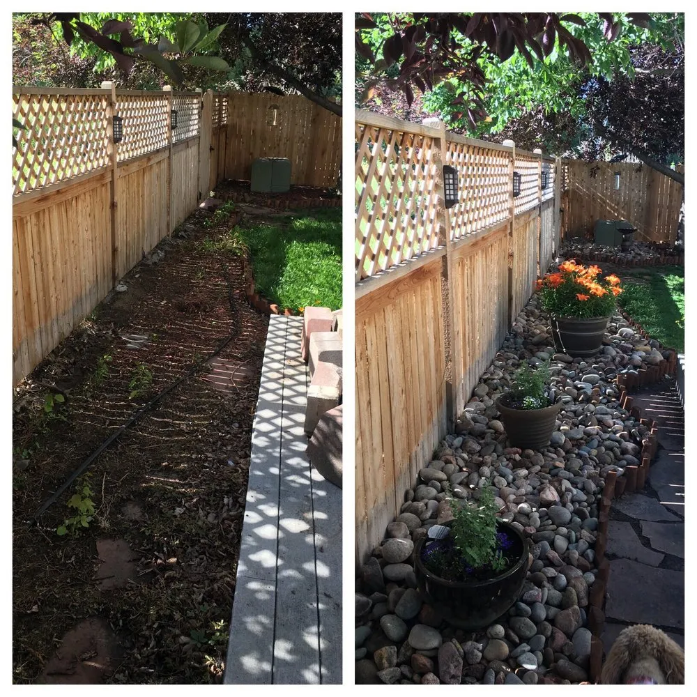 Local lawn care service for year-round maintenance in Westminster, CO by ProLine Services