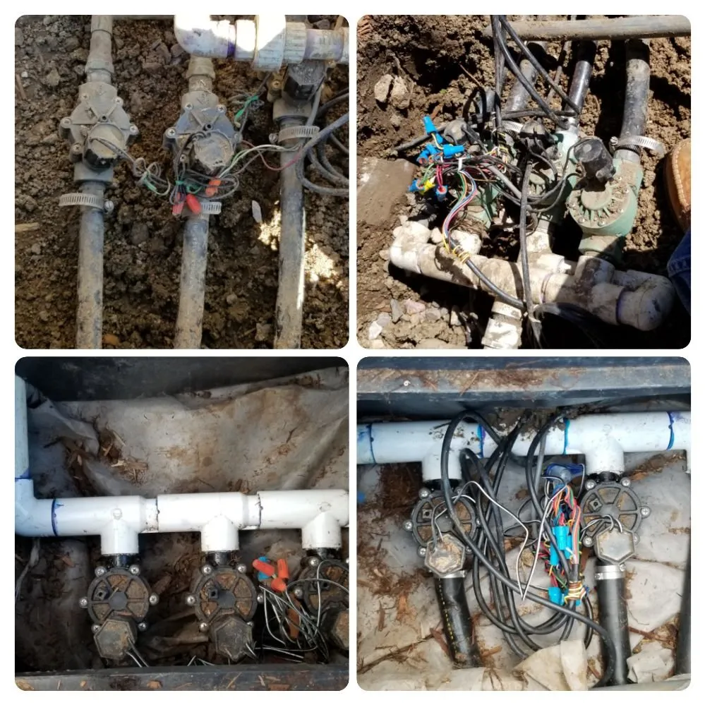 Top-rated landscape design in Westminster, CO - ProLine Services