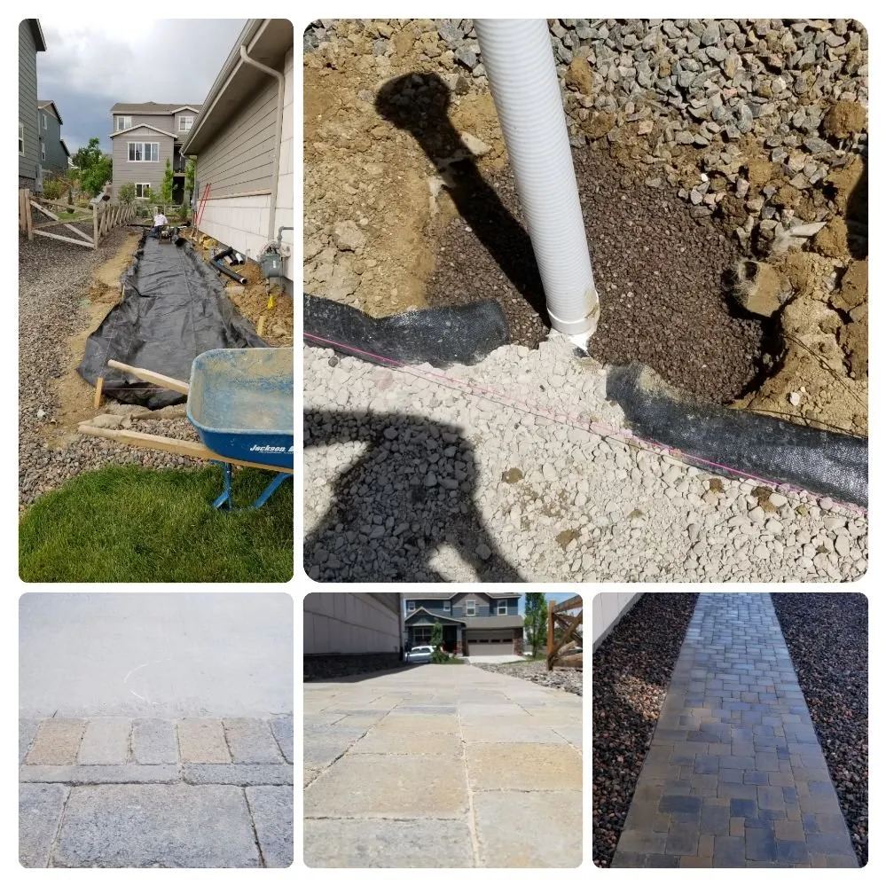 Affordable landscape design for year-round maintenance in Westminster, CO by ProLine Services