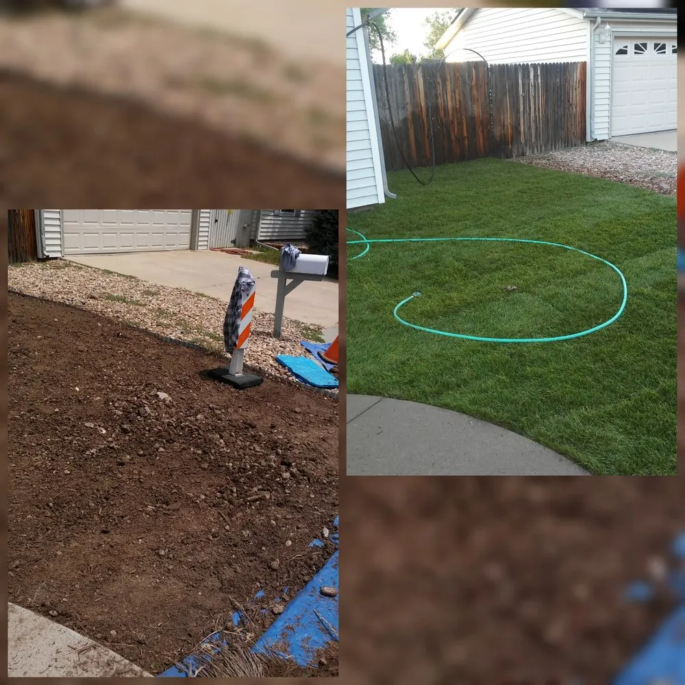 Expert yard maintenance in Westminster, CO - ProLine Services