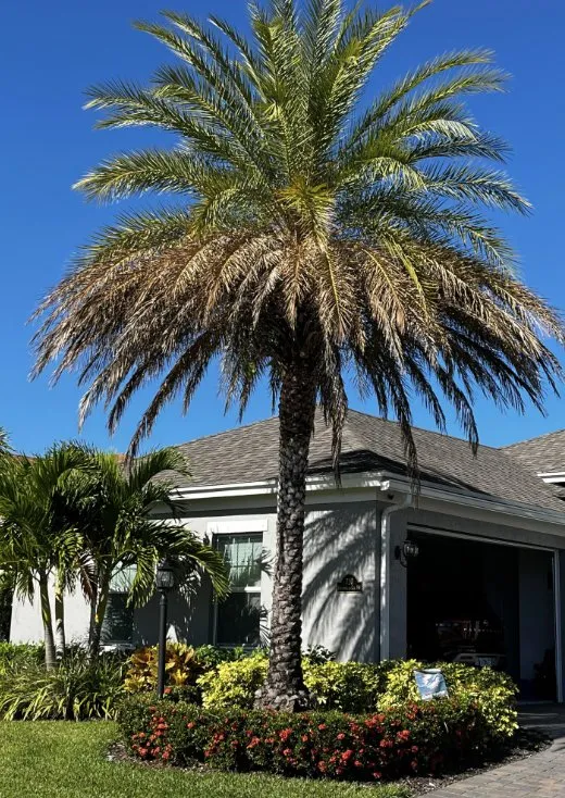 Trusted landscape design near you in Miami, FL by Proliners