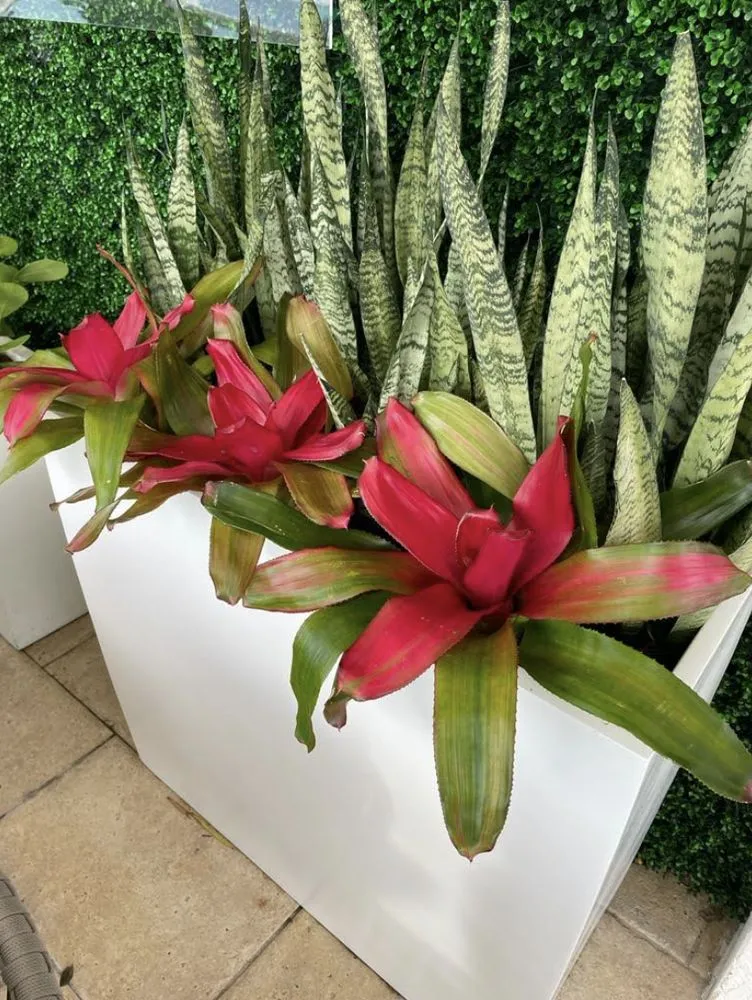 Expert lawn care service in Miami, FL - Proliners