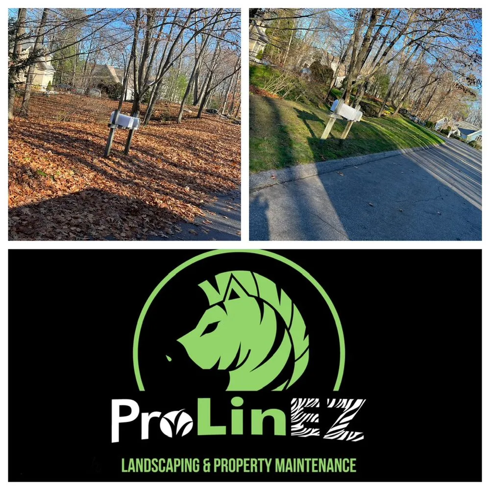 Top-rated residential landscaping for residential properties in Brunswick, ME by ProLinEZ