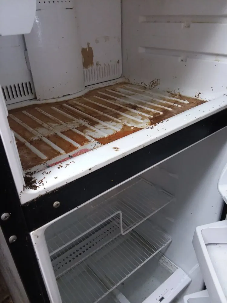 Local outdoor landscaping in Tallahassee, FL - Prolink Property Services