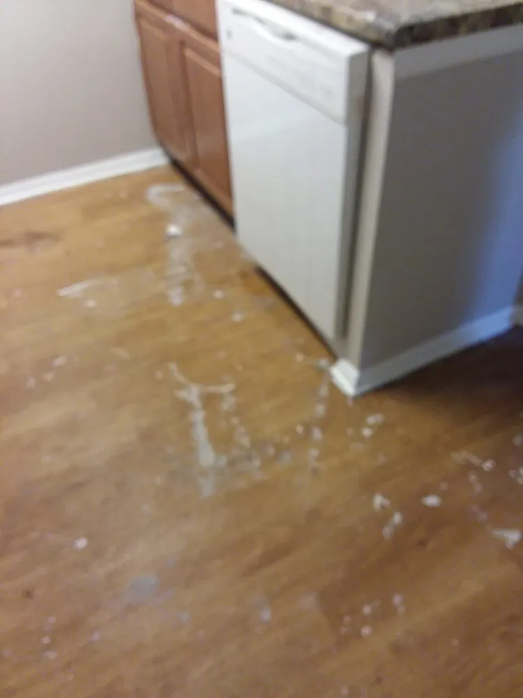 Reliable lawn care service experts serving Tallahassee, FL - Prolink Property Services