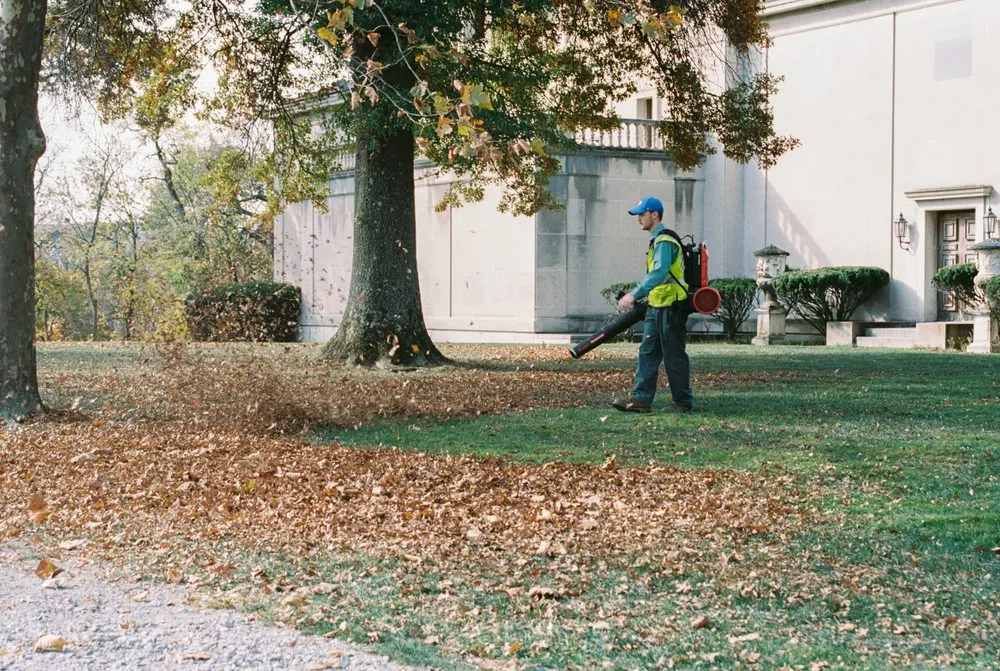 Local landscaping services in Zieglerville, PA - ProMark