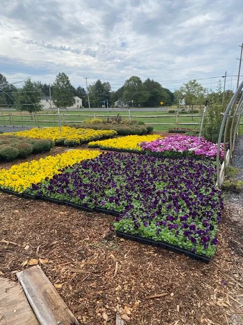 Local yard maintenance experts serving Zieglerville, PA - ProMark