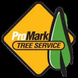 Top-rated landscaping services for year-round maintenance across Zieglerville, PA - ProMark