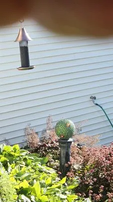 Prometheus Pressure Washing and Gutter Cleaning Logo