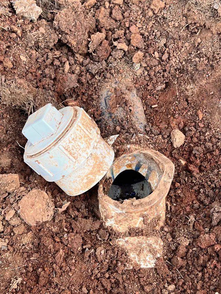 Trusted lawn care service for year-round maintenance across Athens, AL - Prominence Contracting