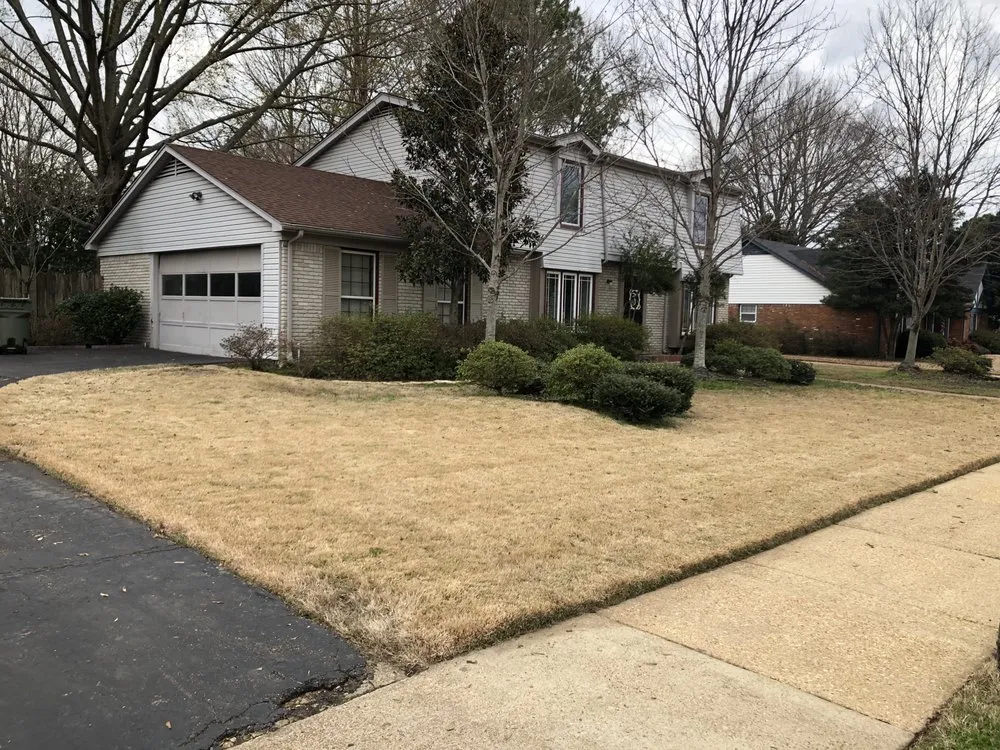 Local landscaping services experts serving Memphis, TN - Prominent Home Services