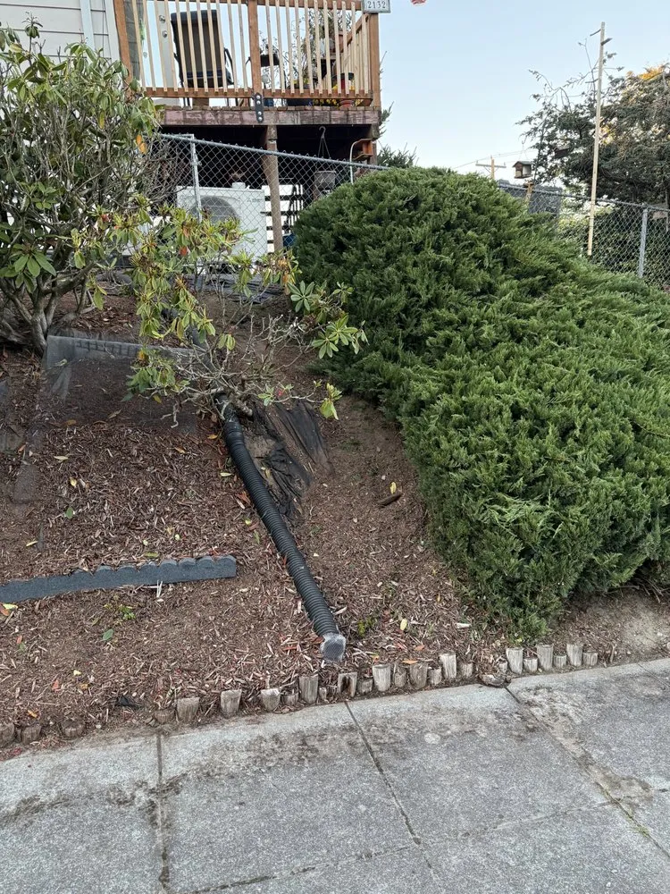 Trusted residential landscaping experts serving Marysville, WA - Prominent Landscape Maintenance & Construction