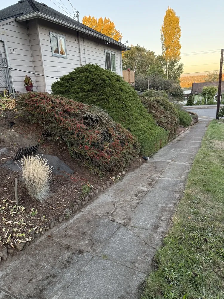 Professional landscape installation in Marysville, WA by Prominent Landscape Maintenance & Construction