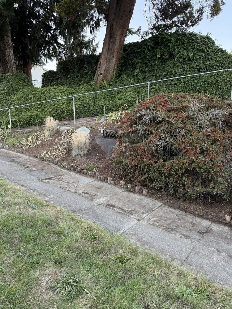 Local yard maintenance in Marysville, WA - Prominent Landscape Maintenance & Construction