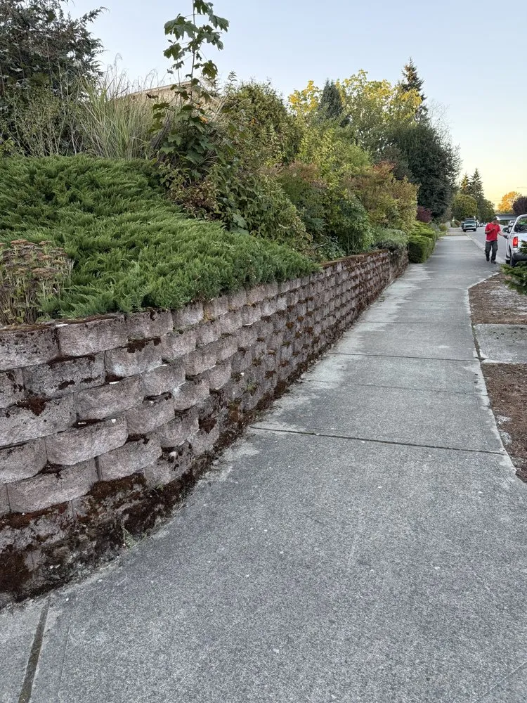 Top-rated landscape installation in Marysville, WA by Prominent Landscape Maintenance & Construction