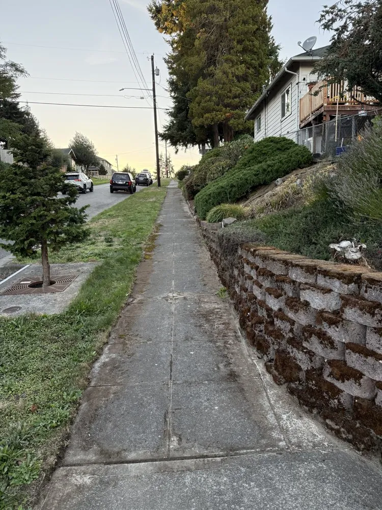 Expert residential landscaping experts serving Marysville, WA - Prominent Landscape Maintenance & Construction