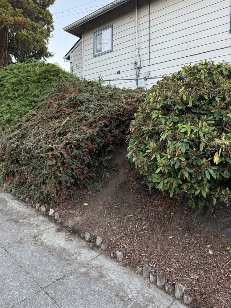 Top-rated lawn mowing service with custom design across Marysville, WA - Prominent Landscape Maintenance & Construction