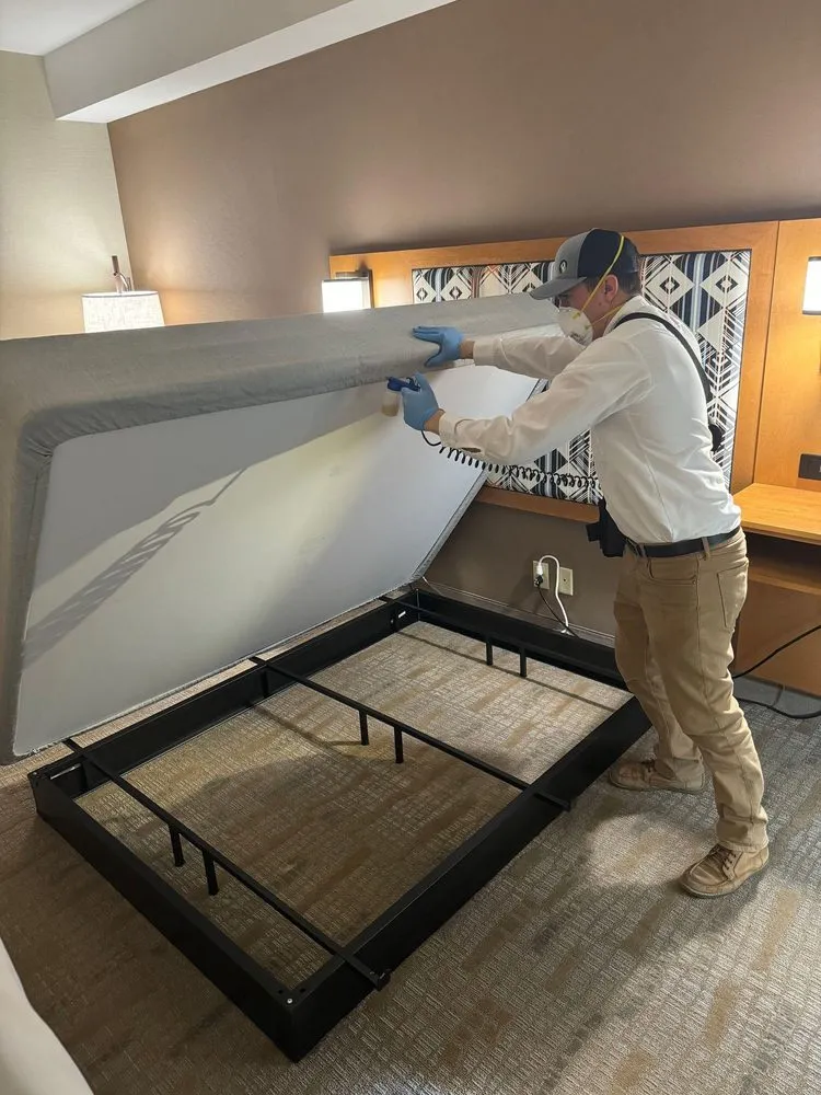 Top-rated landscape installation in Idaho Falls, ID - Prominent Pest Solutions