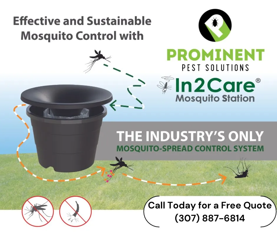 Custom yard maintenance for beautiful yards across Idaho Falls, ID - Prominent Pest Solutions