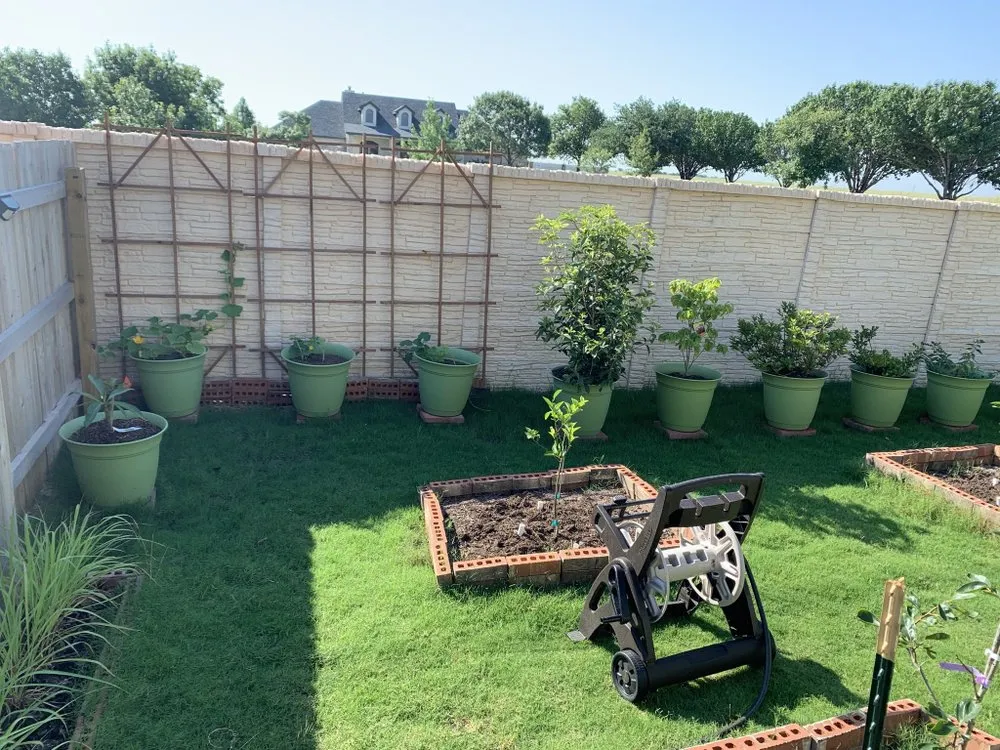 Custom residential landscaping for year-round maintenance in Round Rock, TX by Prominent Services