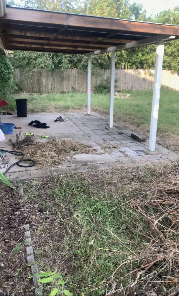 Expert landscaping services in Round Rock, TX - Prominent Services