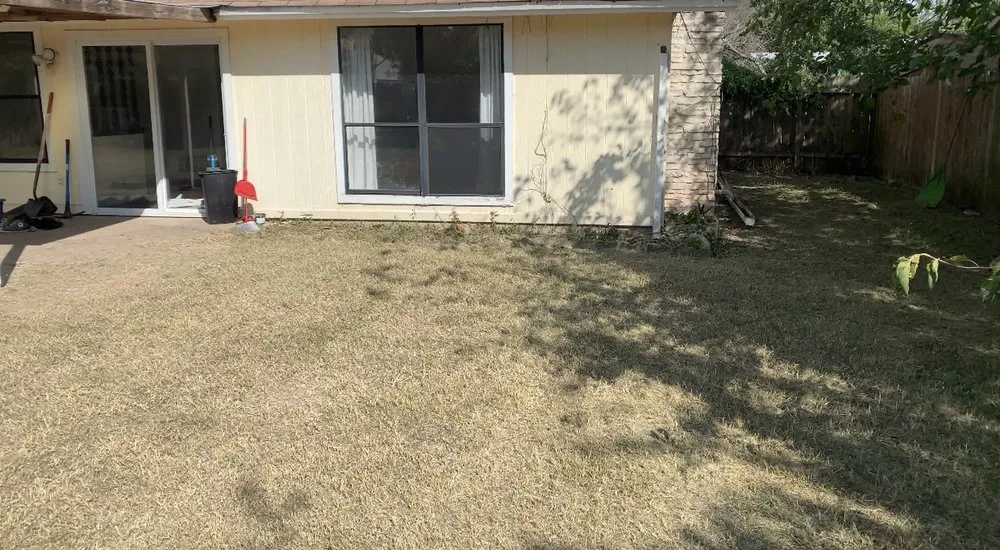 Professional landscape installation in Round Rock, TX by Prominent Services