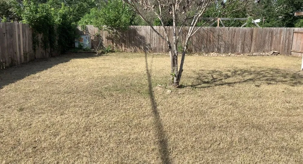 Affordable yard cleanup service for outdoor upgrades in Round Rock, TX by Prominent Services