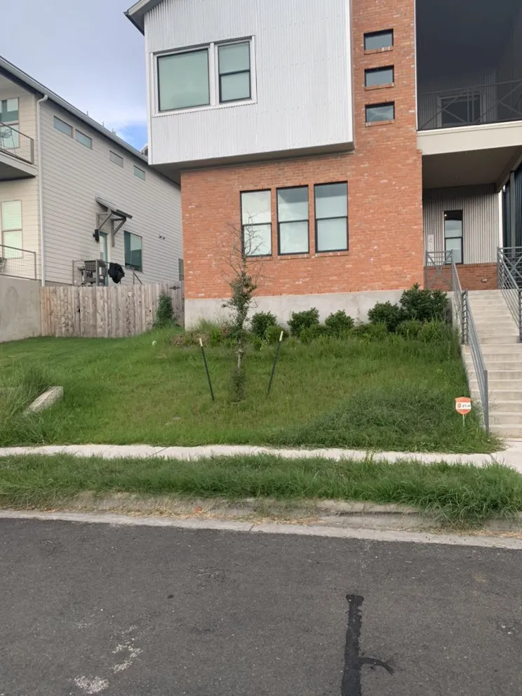 Professional garden landscaping with custom design across Round Rock, TX - Prominent Services